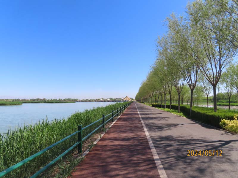 02 宁夏沙湖.JPG