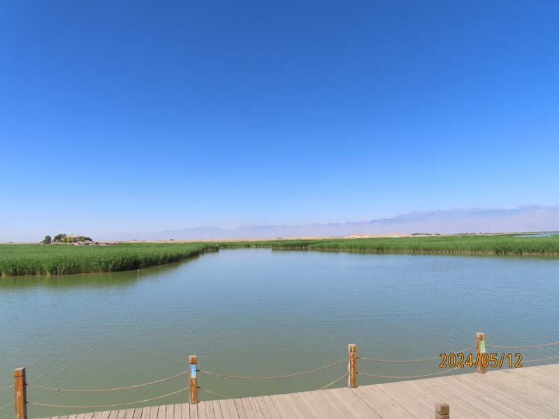 05 宁夏沙湖.JPG