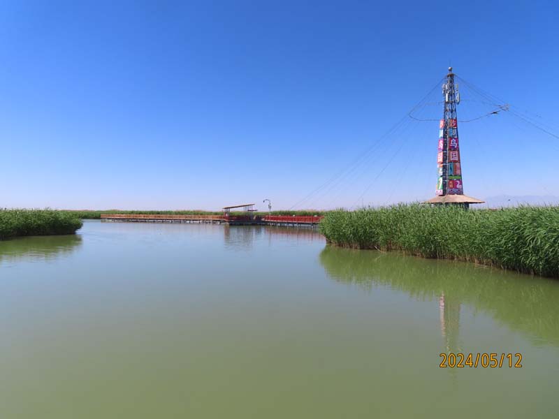 13 宁夏沙湖.JPG
