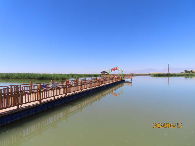09 宁夏沙湖.JPG