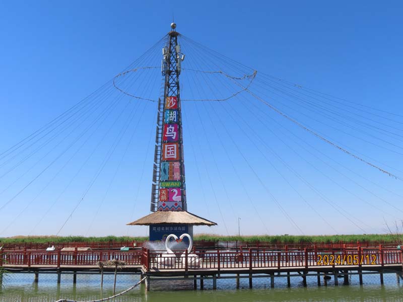 03沙湖天鹅岛.JPG