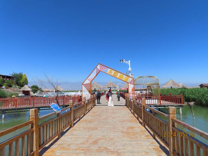 04沙湖天鹅岛.JPG