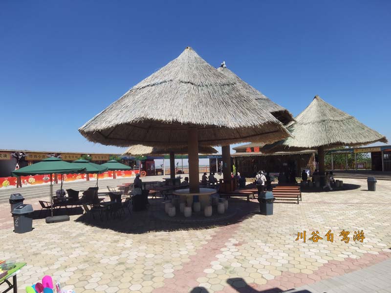18沙湖天鹅岛.jpg