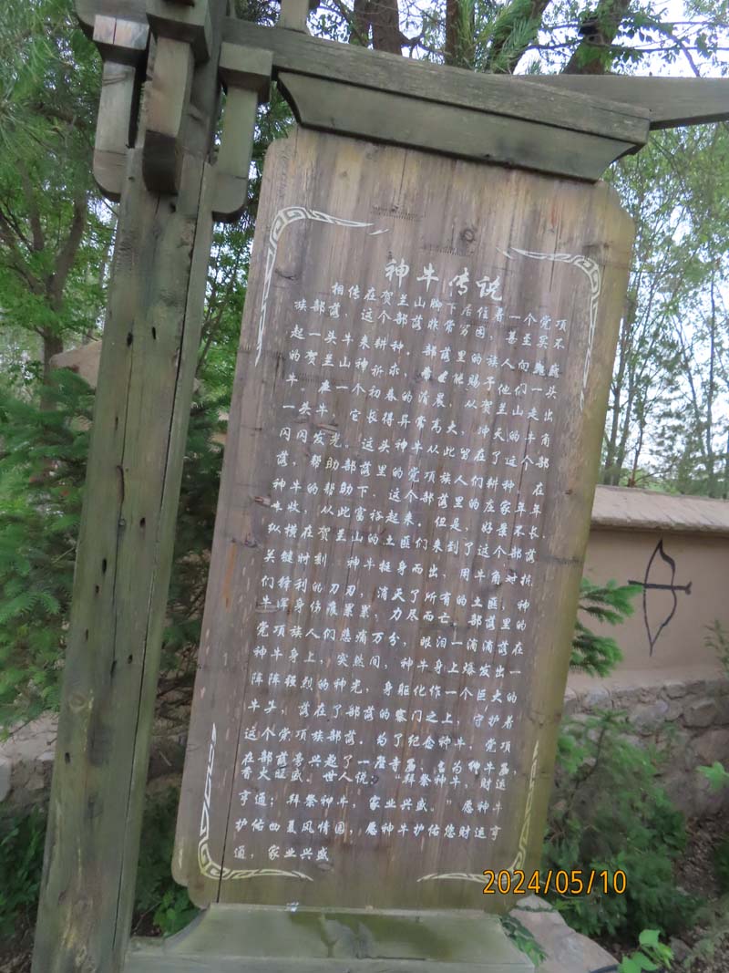 20西夏风情园.JPG