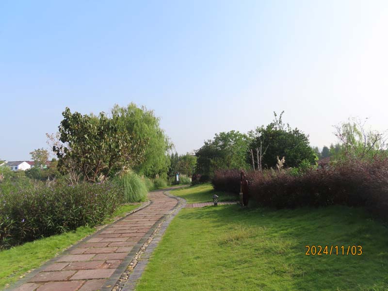 06塘栖村.JPG