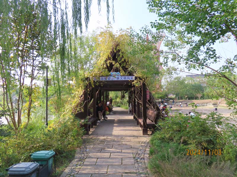 17塘栖村.JPG