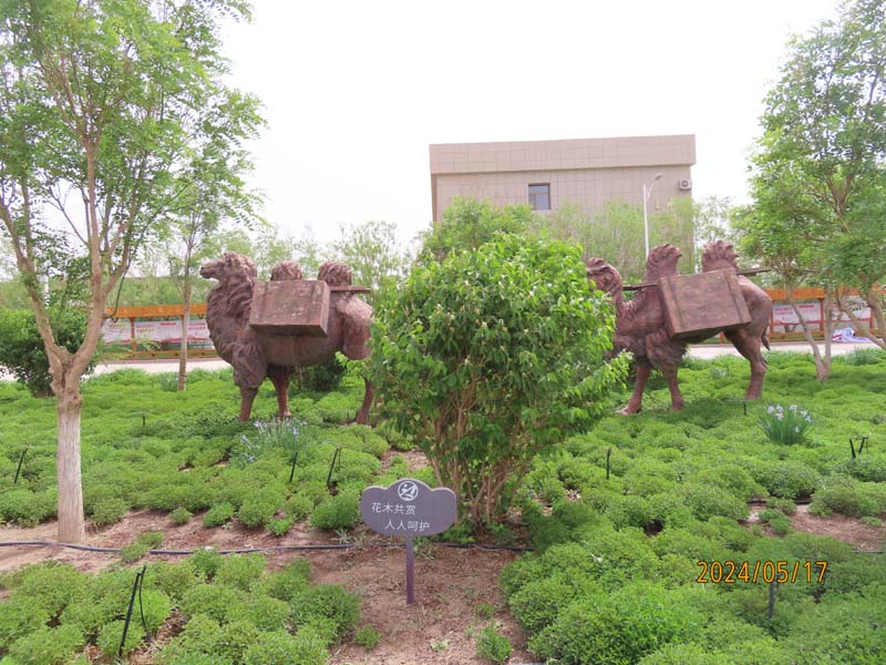 11策克口岸.JPG