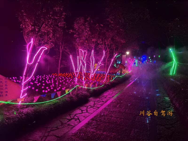 04千桃园不夜城.jpg