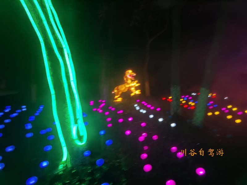 10千桃园不夜城.jpg