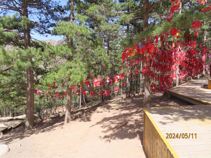 07贺兰山.JPG