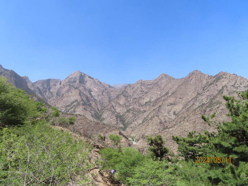 06贺兰山.JPG