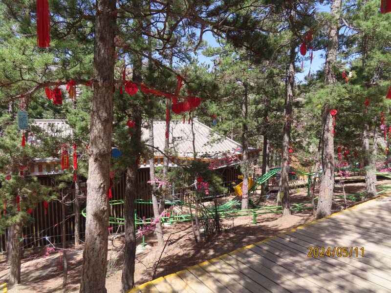 08贺兰山.JPG