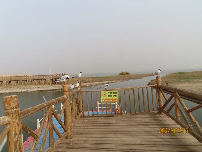 06居延海.JPG