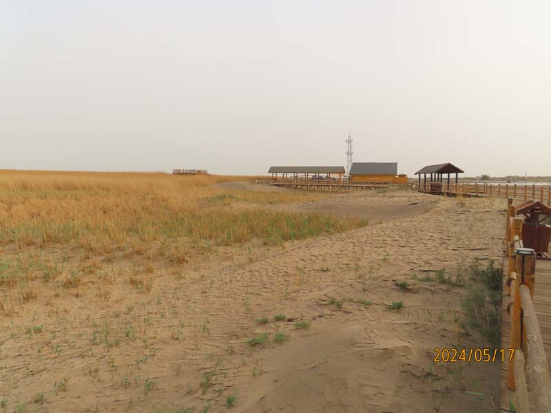 10居延海.JPG