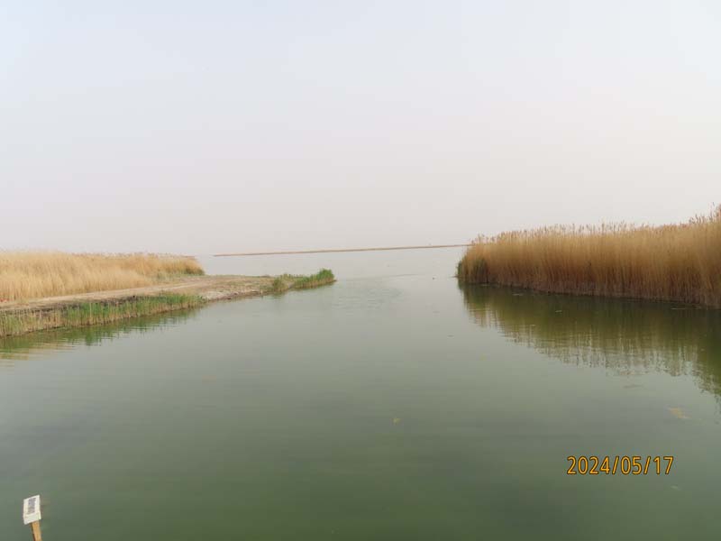 08居延海.JPG