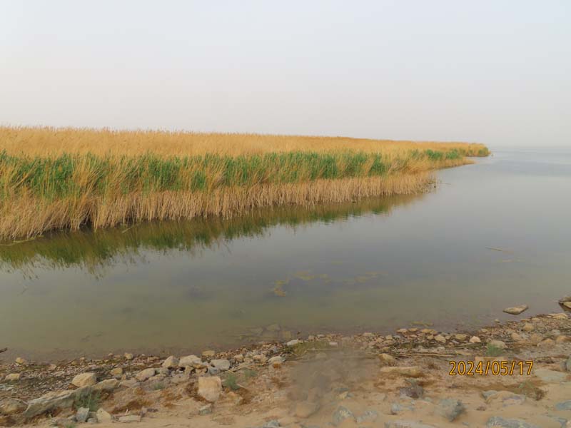 16居延海.JPG
