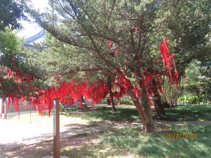 08苏州东山启园.JPG