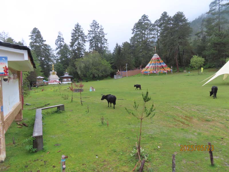 12嘎朗村.JPG 12嘎朗村.JPG