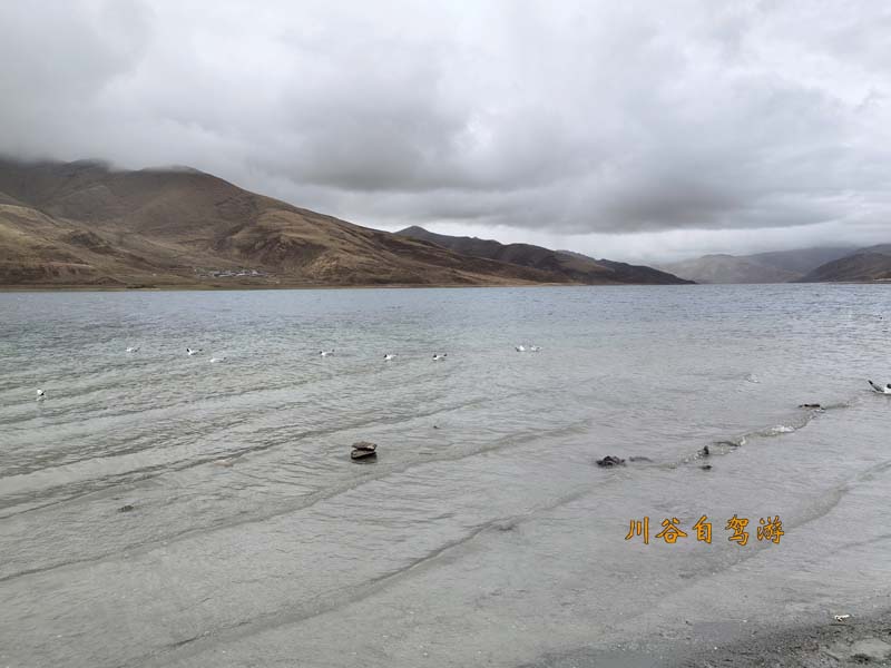 17羊卓雍措.jpg