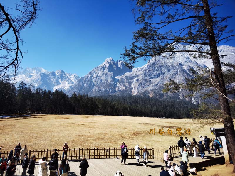 玉龙雪山20.jpg