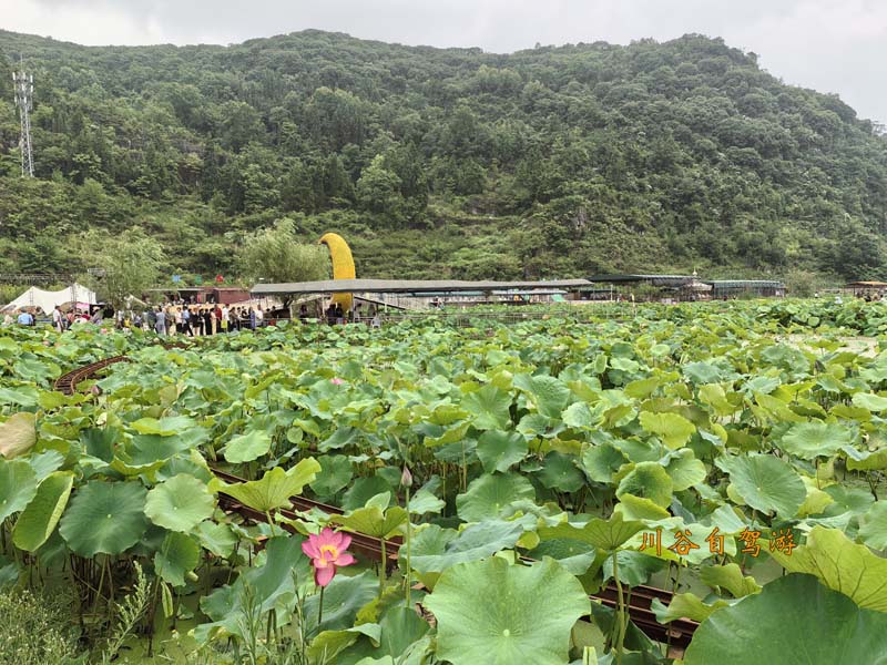 安顺十里荷廊17.jpg
